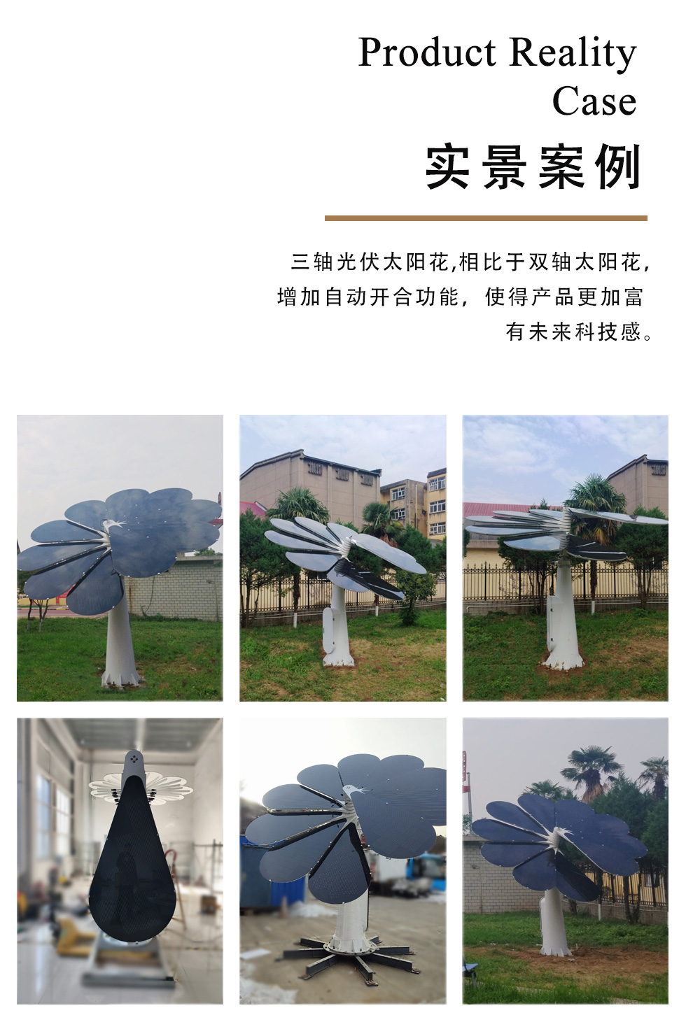 三轴光伏花7.jpg