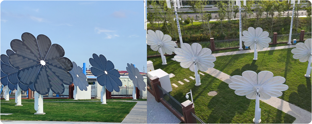 宿迁光伏花-2.png