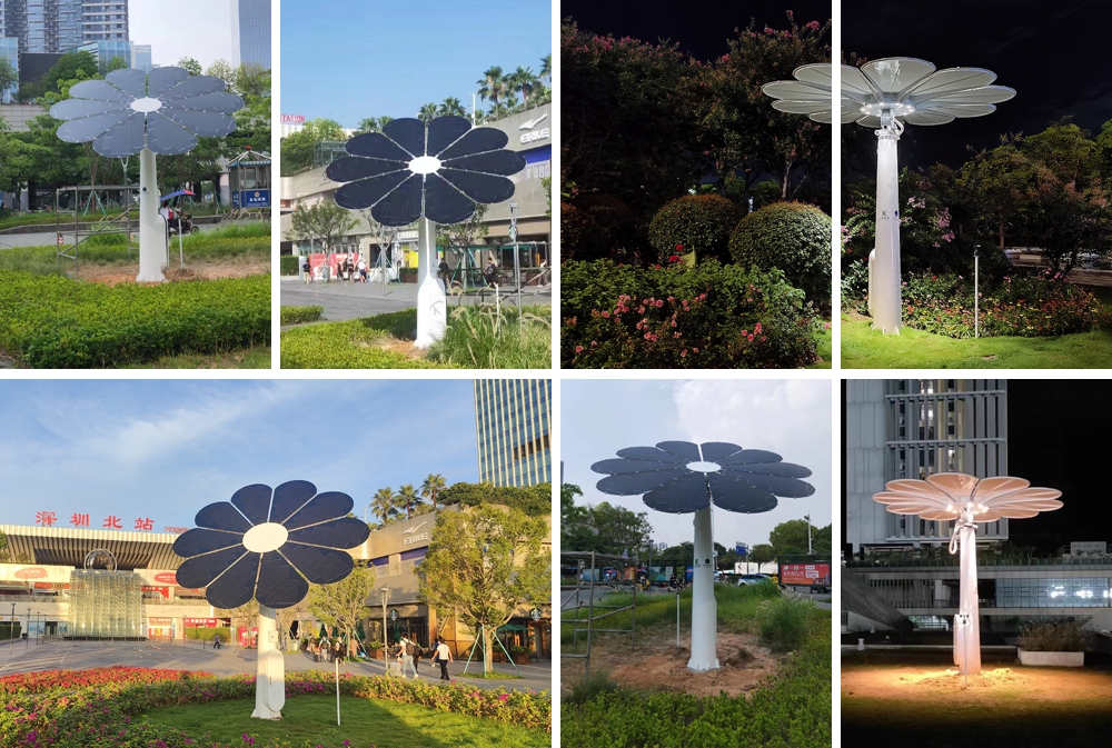 深圳光伏花.png