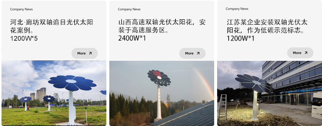 2021年 5MW 追日光伏太阳花问世