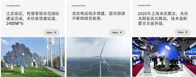 2025年 100MW 智慧低碳生态系统